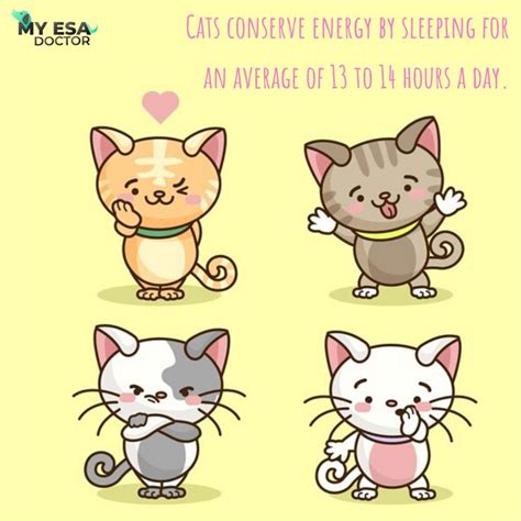 Check spelling or type a new query. Get Emotional Support Animal Letter Online from My ESA ...