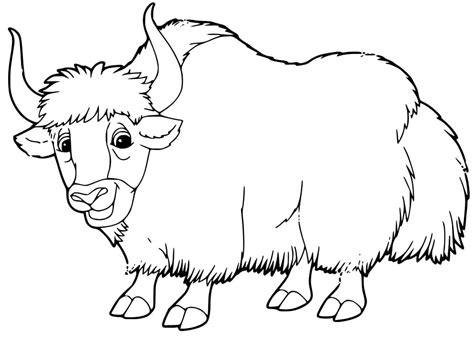 Yak Coloring Pages Free Printable Coloring Pages For Kids Images And