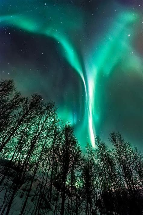 Aurora Borealis Bing Imag Aurora Borealis Northern