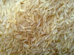 We use gels, traps and glue to prevent future infestations. Basmati Rice in Malappuram - Latest Price & Mandi Rates ...