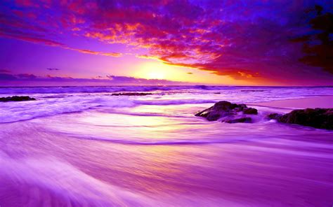 1920x1200 Purple Beach Sunset 4k 1080p Resolution Hd 4k Wallpapers