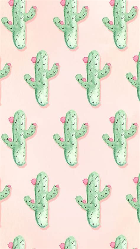 Soft Pink Quote Cactus Iphone Home Wallpaper Panpins In
