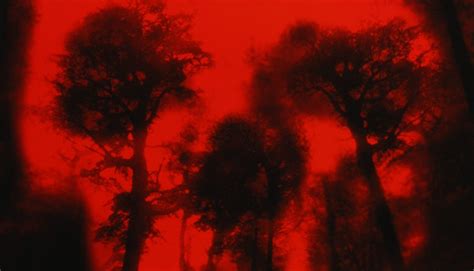 We did not find results for: Eli Roth's 'Cabin Fever' Still Makes Our Skin Crawl ...