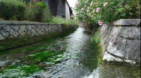 水と共生したまち滋賀県高島市（針江生水の郷） Machi Log