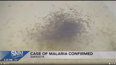 Sarasota County Department Of Health Issues Mosquito Borne Illness