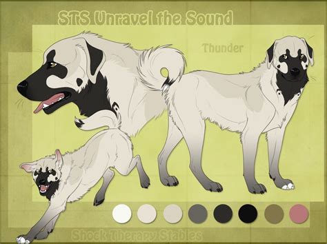 Sts Dog Thunder By Shocktherapystables On Deviantart Kangal Dog