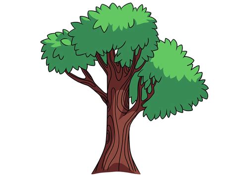 Tree Pictures Cartoon How To Draw A Cartoon Tree In A Few Easy Steps
