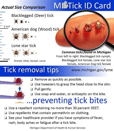 Dont Let Ticks Make You Sick District Health Department 10