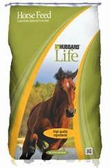 Patriot Performance Horse Feed Images