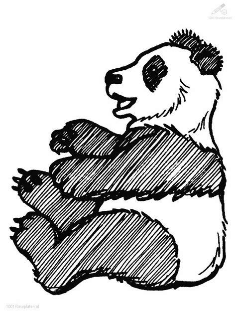 1001 Coloringpages Animals Gt Clipart Panda Free Clipart Images
