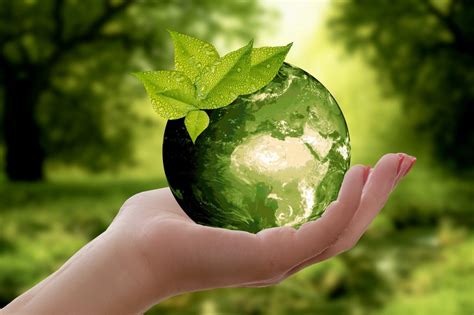 10 mandamientos de la sostenibilidad ambiental Blog Equilíbrate El