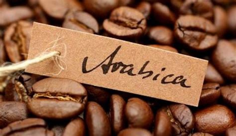 sejarah kopi arabika  indonesia kopi ternikmat  dunia