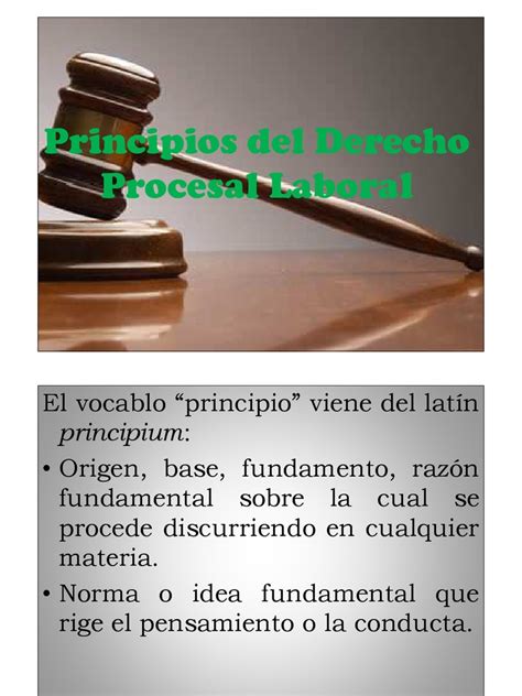 Principios Procesales Laborales Pdf Ley Procesal Derecho Laboral