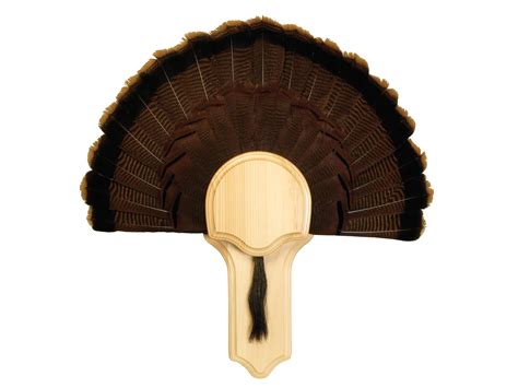 walnut hollow country deluxe turkey mounting kit pine