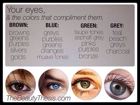 Your Eyes And The Colors That Compliment Them Eye Makeup Beauty Hacks