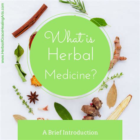 Herbs And Essential Oils Hybrid Rasta Mama Herbalism Herbs For