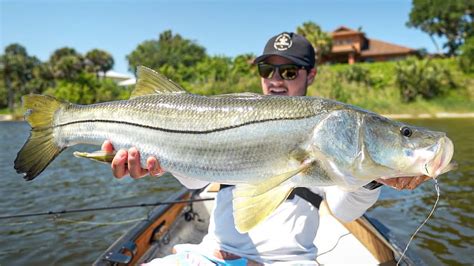 Big Snook Fishing On Floridas East Coast Youtube