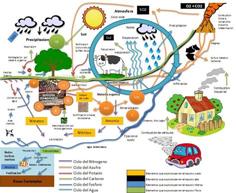 Mapa Mental Dos Ciclos Biogeoquimicos