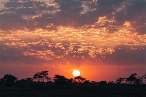 Serengeti - Sunrise - Vancouver Photographer - Vince Chow