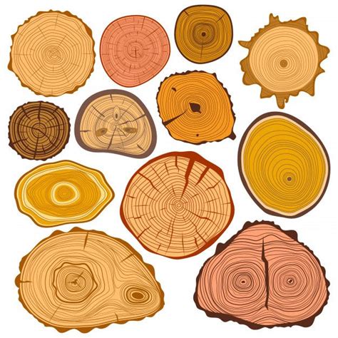 Croquis dessin peinture dessin dessins gravures mouton dessin art créatif esquisse menuiserie bois atelier bois boule de cristal objet en bois bois naturel sculpture en bois texture visuelle. Cercle De Tranches De Bois Texture Arbre Coupé Ensemble De ...