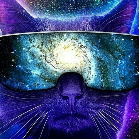 Univers Cat Trippy Cat Animal Paintings Space Cat