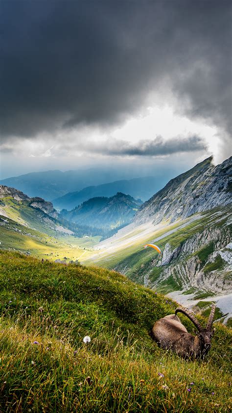 3 hours of relaxing music with peaceful hd 1080p sights and sounds of nature. Latest Nature Wallpapers HD ·① WallpaperTag