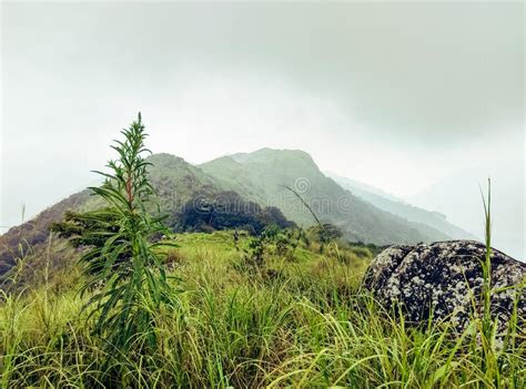 Mountain Slope And Green Meadows In Kerala Stock Image Image Of Trail
