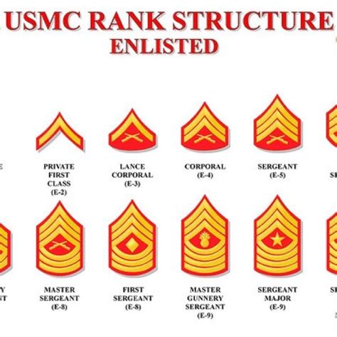 Usmc Enlisted Ranks Usmc Ranks Marine Corps Marine Corps Bootcamp