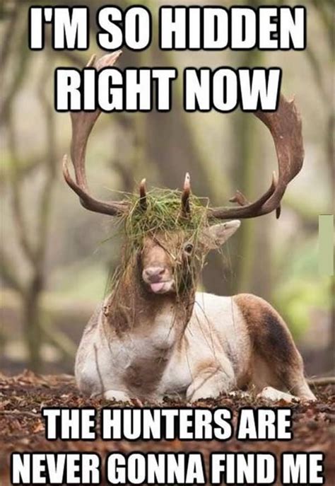 30 Most Funniest Hunting Meme Pictures And Images