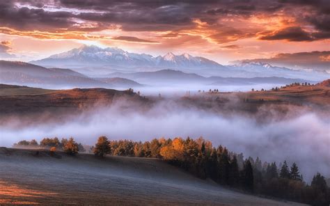 Wallpaper Carpathians Mountains Trees Fog Morning