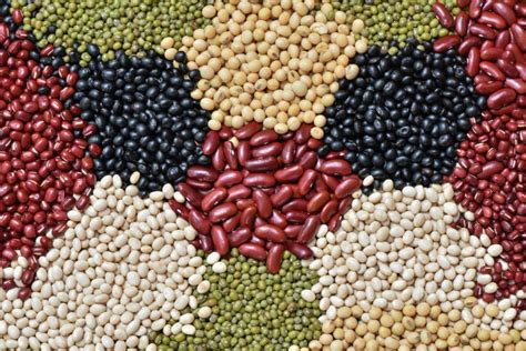 The 9 Healthiest Beans And Legumes You Can Eat With More 10 Articles