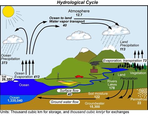 The Hydrosphere And Hydrologic Cycle Diagram Quizlet