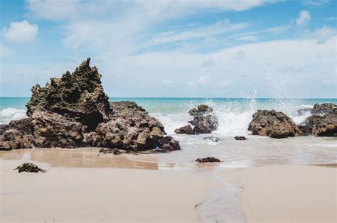 Tambaba Beach Brazil Stock Photos Free Royalty Free Stock Photos From Dreamstime