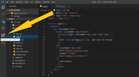 How To Show All Installed Extensions In VS Code KindaCode