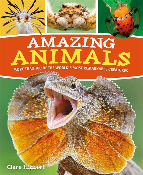 Buy Amazing Animals More Than 100 Of The Worlds Most Remarkable