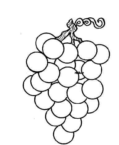 Tous nos coloriages à imprimer et à colorier sont. Vignes A Colorier : Dessin De Cep De Vigne Coloriage De Fruits Legumes A Imprimer Les Meilleurs ...