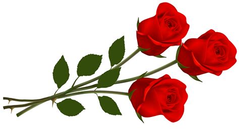 Free Rose Png Hd Download Free Rose Png Hd Png Images Free Cliparts On Clipart Library