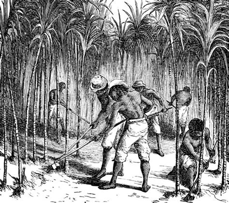 Extrapolating again from the numbers safely landed in america you might use 150 thousand dead as a consequence of the american share in human trafficking from africa. History - Santa Fe Christian Academy