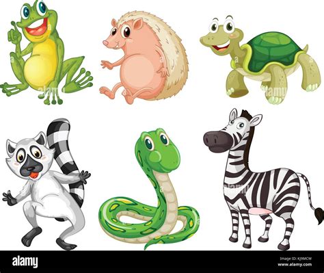 Illustration Of The Different Species Of Animals On A White Background