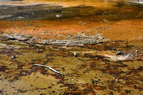 Gambar Laut Alam Batu Tekstur Jeruk Refleksi Musim Gugur