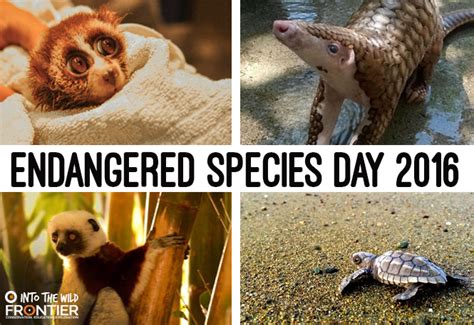 This could be through changes to their natural habitat through natural reasons such as a change of climate, forest. Struggling Animals - Endangered Species Day 2016 | HuffPost UK