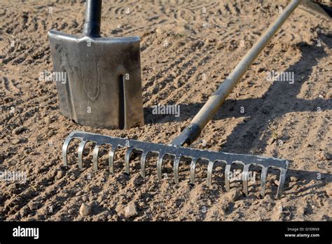 Spade Foot Hi Res Stock Photography And Images Alamy