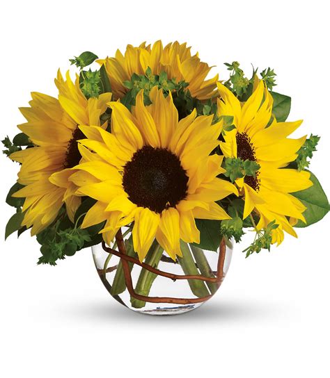 Sunny Sunflowers in Yucca Valley, CA | Cactus Flower Florist & Farms