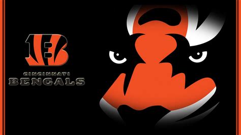 cincinnati bengals wallpapers wallpaper cave