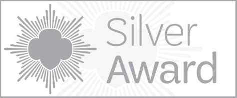 Girl Scout Silver Award