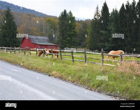 Virginia Horse Pasture Hi Res Stock Photography And Images Alamy