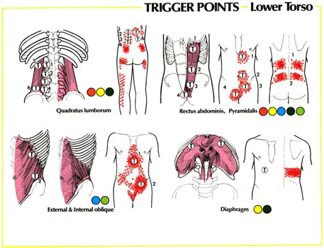 This article explains the types of muscle relaxants and how they work. Back Pain, Tight Muscles & Trigger Points: Deep Tissue Massage