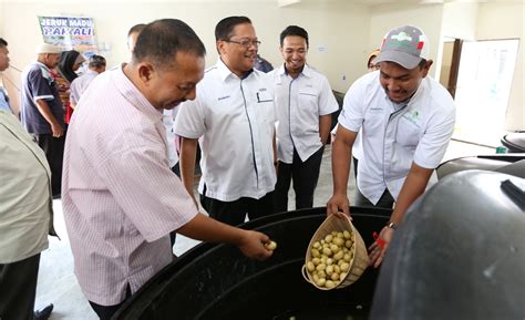 Dari segi pembuatannya, kini telah dipertingkatkan lagi dengan beberapa pembaikan di dalam proses pengeluaran. Jeruk Madu Pak Ali Dijemput Ke Majlis Ramah Mesra PERDA ...