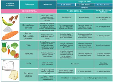 Guía Completa De Alimentación Complementaria Para Bebés De 6 Meses
