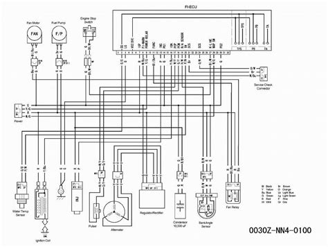 Honda Crf450x Wiring Diagram Dotimes